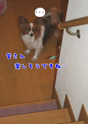 d0013149_8272572.jpg