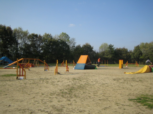 b0070950_1634499.jpg