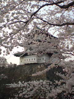 e0028656_19462329.jpg