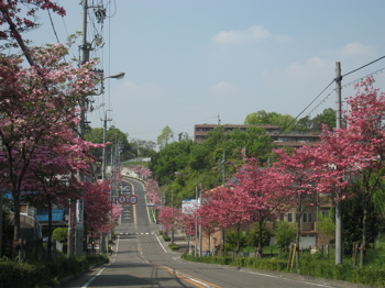 c0153259_21412486.jpg