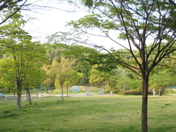 c0153259_21415020.jpg