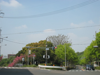 c0153259_214188.jpg