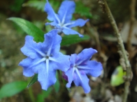 c0108460_2234825.jpg