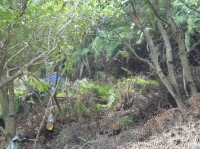 c0108460_2272654.jpg