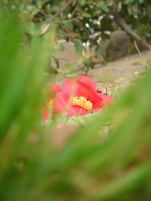 a0063963_6421740.jpg
