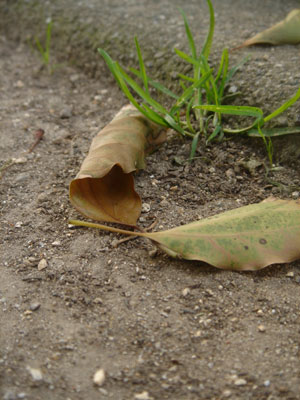 a0063963_646465.jpg