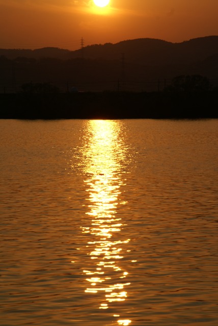 a0091666_2244615.jpg