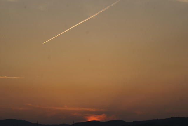 a0091666_2248538.jpg