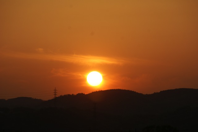 a0091666_22492820.jpg