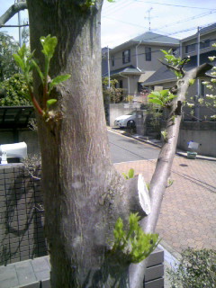 f0061067_2232863.jpg