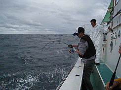 a0096669_19182969.gif