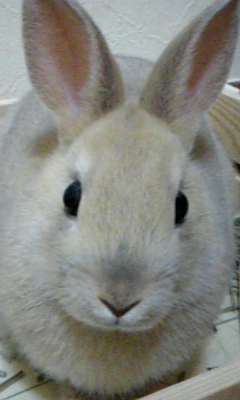 b0114570_053260.jpg