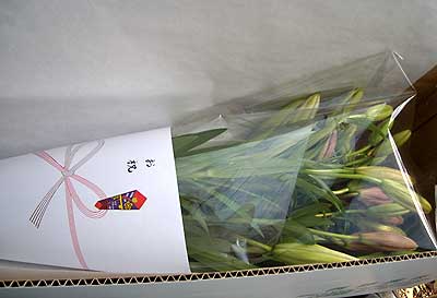 e0097770_5565942.jpg