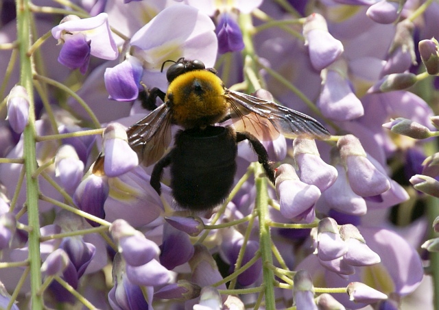 b0070071_14235769.jpg