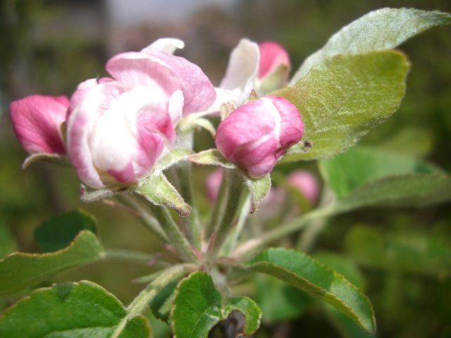 f0137275_2312517.jpg