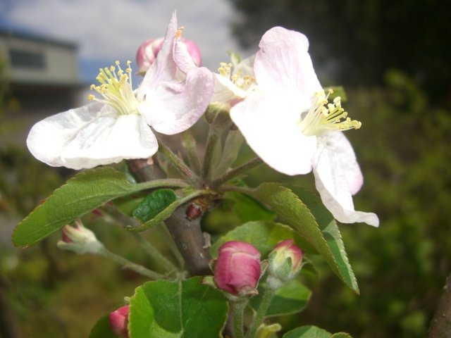 f0137275_2314897.jpg