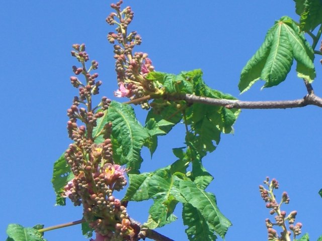 f0137275_2353520.jpg