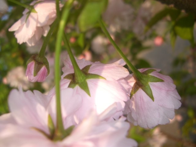 f0137275_2374081.jpg