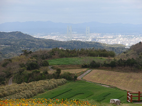 d0074578_204386.jpg