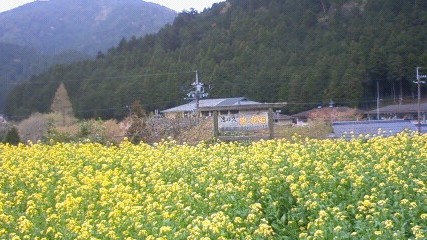 c0107180_20575543.jpg