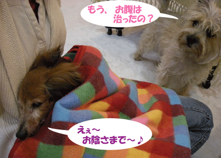 e0066883_021567.gif