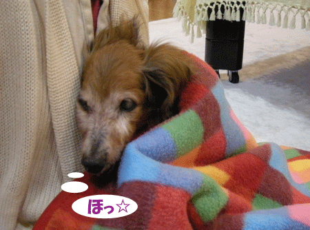 e0066883_023550.gif
