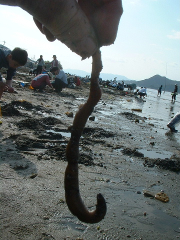 e0060485_2320670.jpg