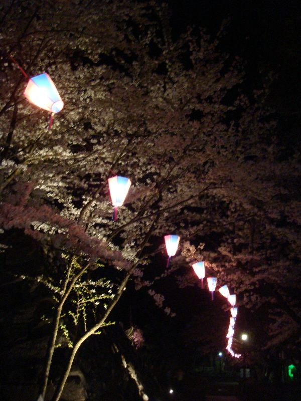 b0055987_0431865.jpg