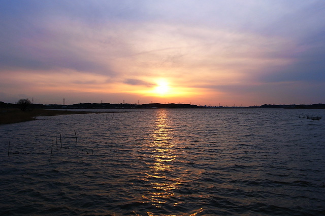 b0067789_20474837.jpg