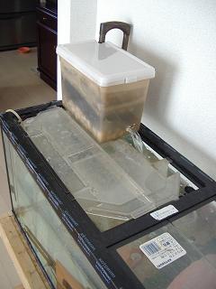 f0081594_9591997.jpg