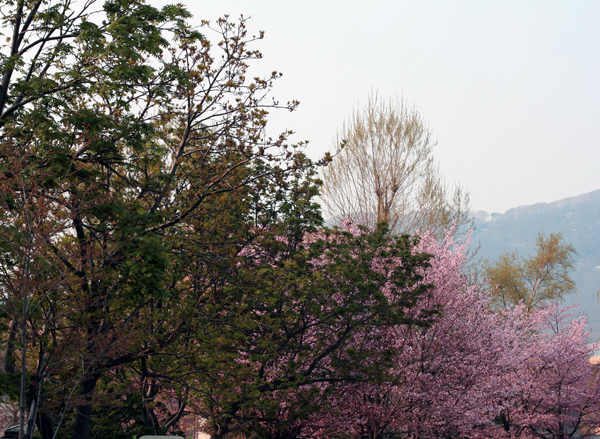 f0001895_1836482.jpg