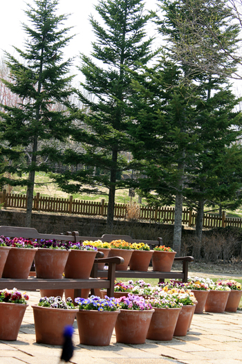 f0001895_1855928.jpg