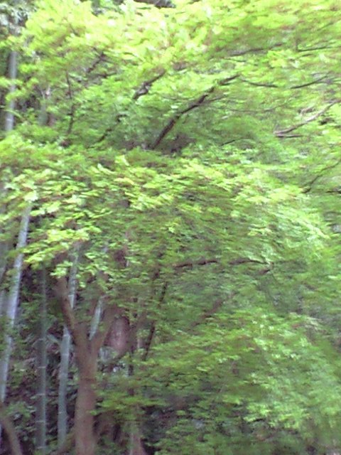 b0083902_17545352.jpg