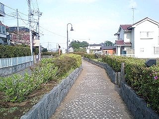 f0147602_18452480.jpg