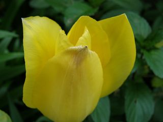 b0061107_21331599.jpg