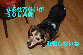 d0104209_23113151.jpg