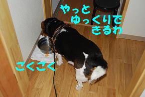 d0104209_2363471.jpg