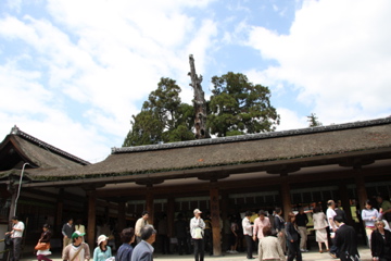 d0111714_228362.jpg