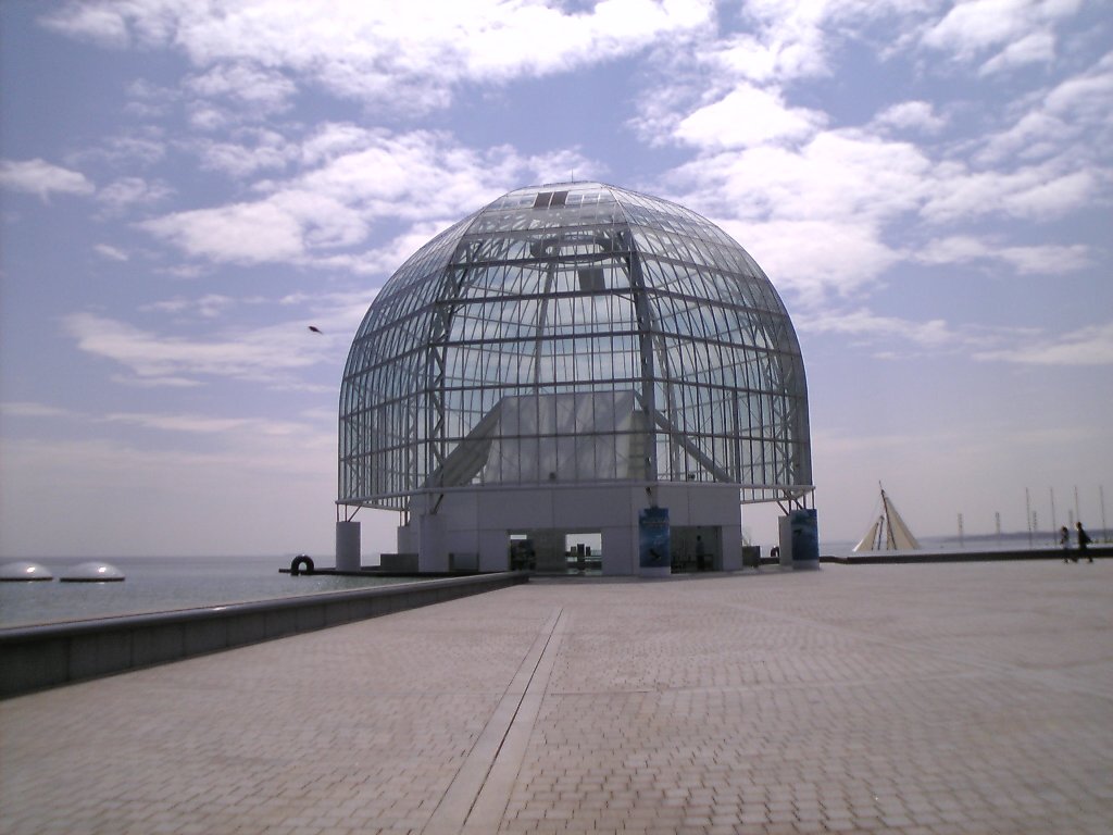 c0003217_1431424.jpg