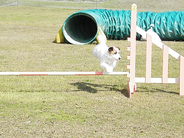 c0127617_15511151.jpg