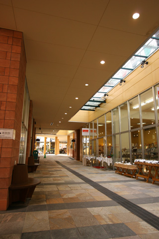 e0071225_20282611.jpg