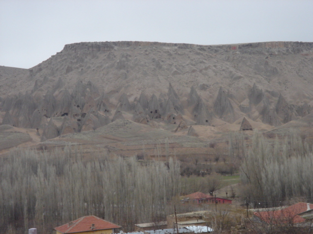 f0132327_1739511.jpg