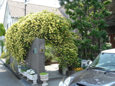 e0134032_12345315.jpg