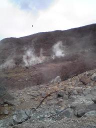 b0072234_225593.jpg