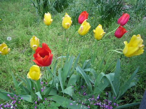 b0042943_2204473.jpg