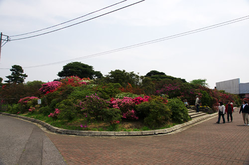 a0003746_16533421.jpg