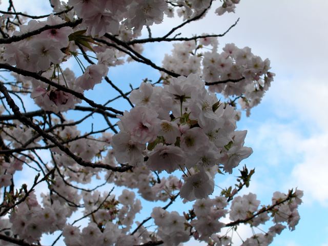 a0063846_17543537.jpg