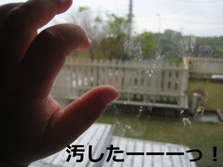 a0090451_21504676.jpg