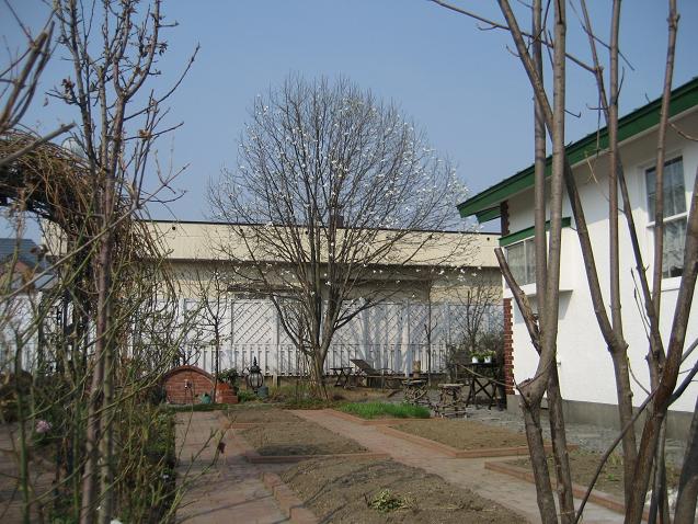 a0075455_1243305.jpg