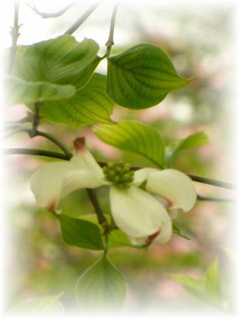 f0074659_22473055.jpg